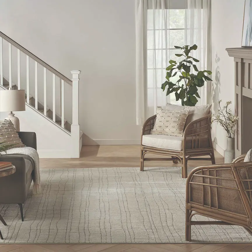 Area rug gallery image contemporary (112)