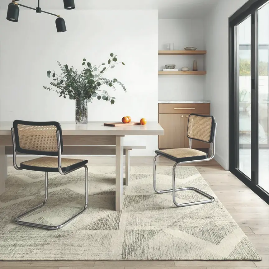Area rug gallery image contemporary (123)