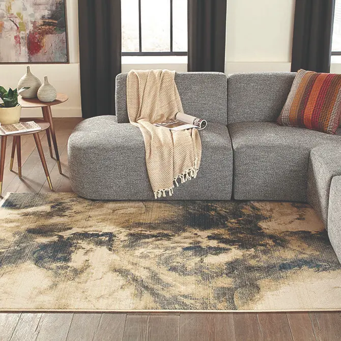 Area rug gallery image contemporary (136)