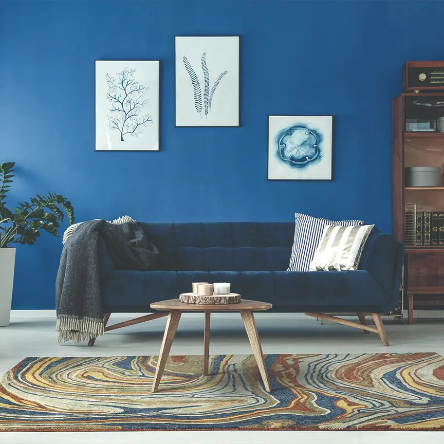 Area rug gallery image contemporary (37)