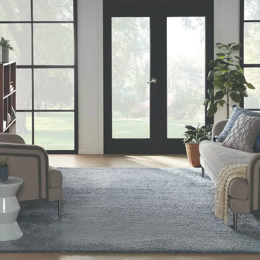 Area rug gallery image contemporary (51)