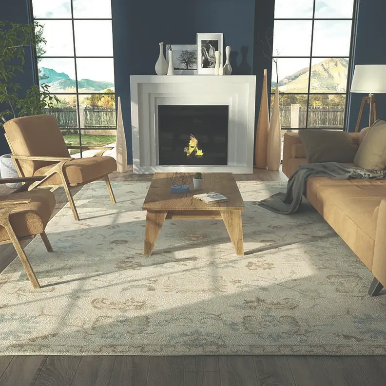 area-rugs-traditional gallery image (11)