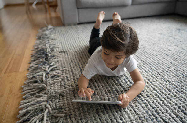 Area Rug| Hadinger Flooring Inc.