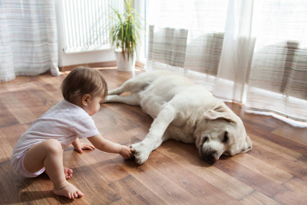 | Hadinger Flooring Inc.