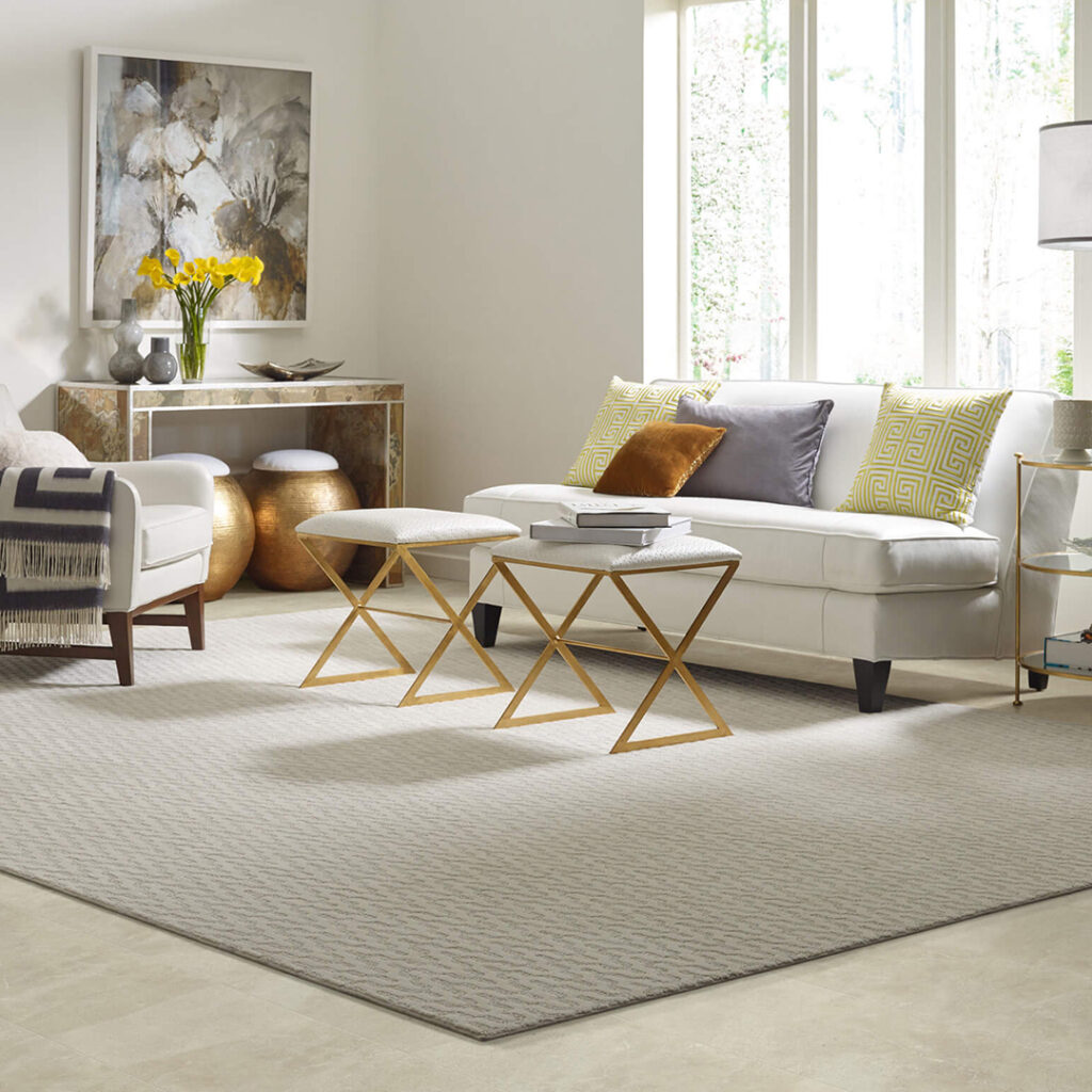Area Rug | Hadinger Flooring Inc.