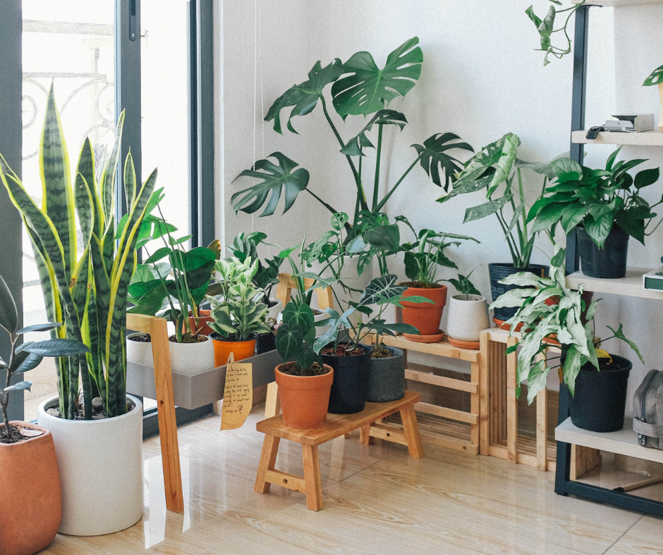 Laminate flooring in Fort Myers, FL